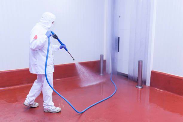 Best Restaurant Pressure Washing  in Los Alamitos, CA